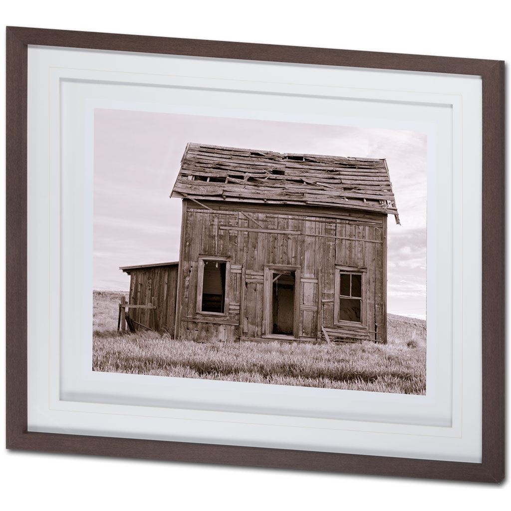 Abandoned Two Story Farm House by Steven Bisig a Framed Photo Art Print Matted under Glass from Mercana - Luna Furniture