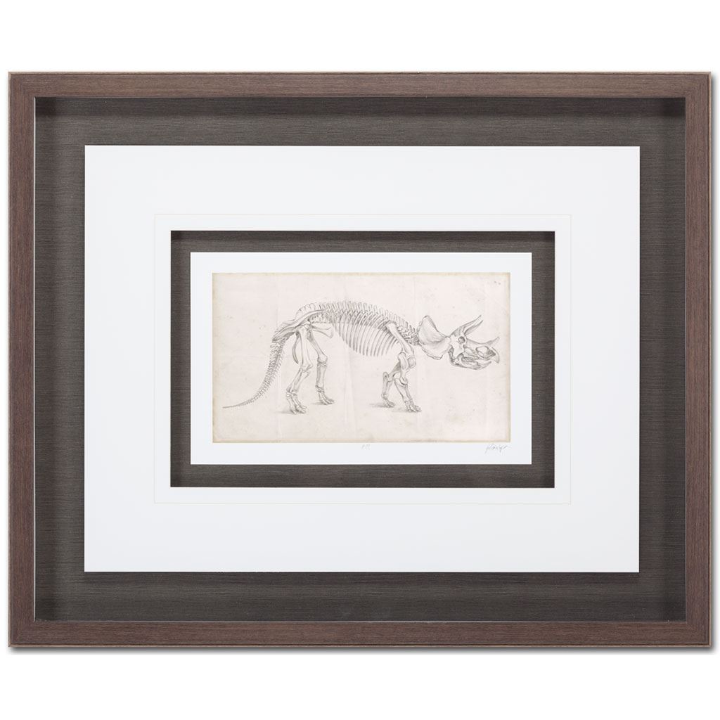 Custom Dinosaur Study II (MC) by Harper, Ethan a Framed Art Print Matted under Glass from Mercana - Luna Furniture