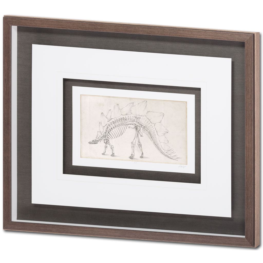 Custom Dinosaur Study III (MC) by Harper, Ethan a Framed Art Print Matted under Glass from Mercana - Luna Furniture