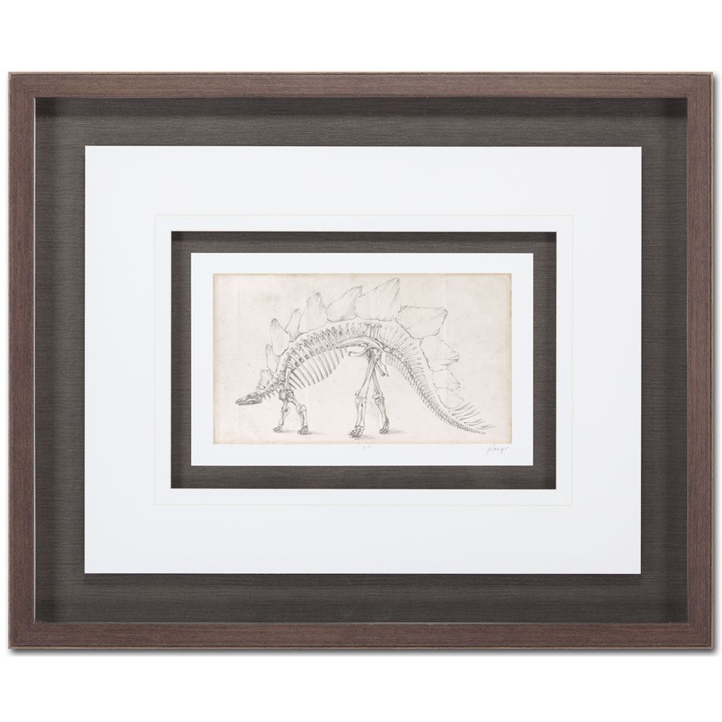 Custom Dinosaur Study III (MC) by Harper, Ethan a Framed Art Print Matted under Glass from Mercana - Luna Furniture