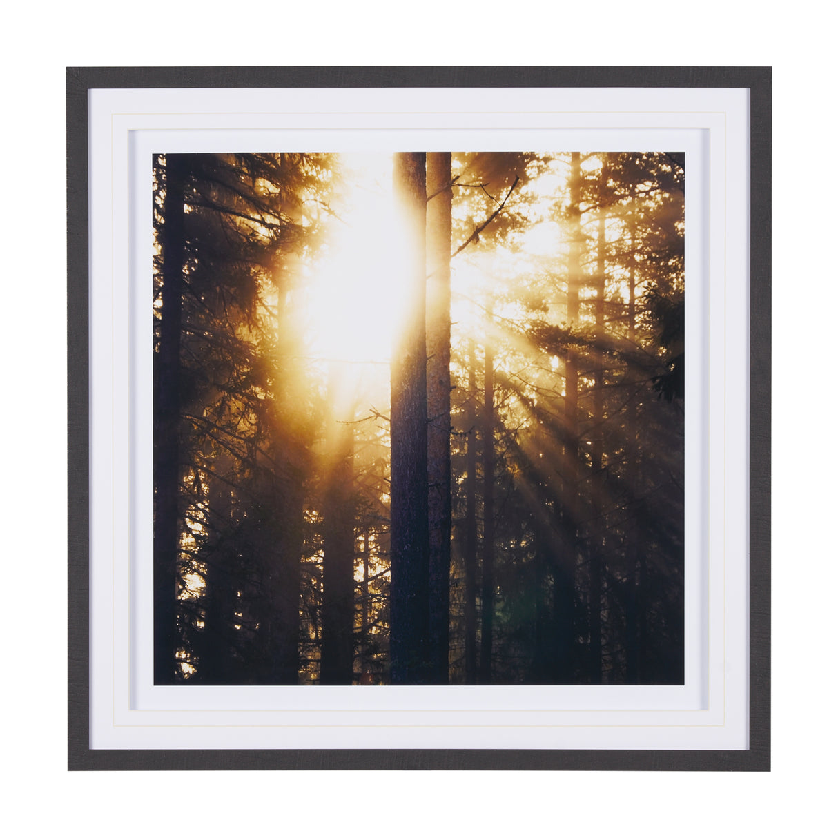 Woodland Glow by Andreas Stridsberg a Hand Embelished Textured Framed Art Photo Matted under Glass from Mercana - Luna Furniture