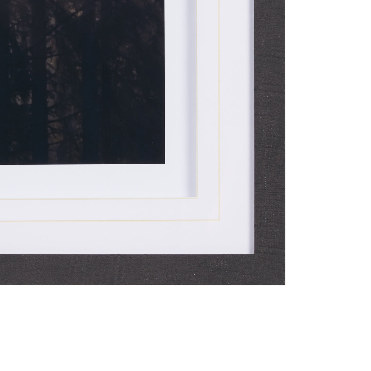 Woodland Glow by Andreas Stridsberg a Hand Embelished Textured Framed Art Photo Matted under Glass from Mercana - Luna Furniture