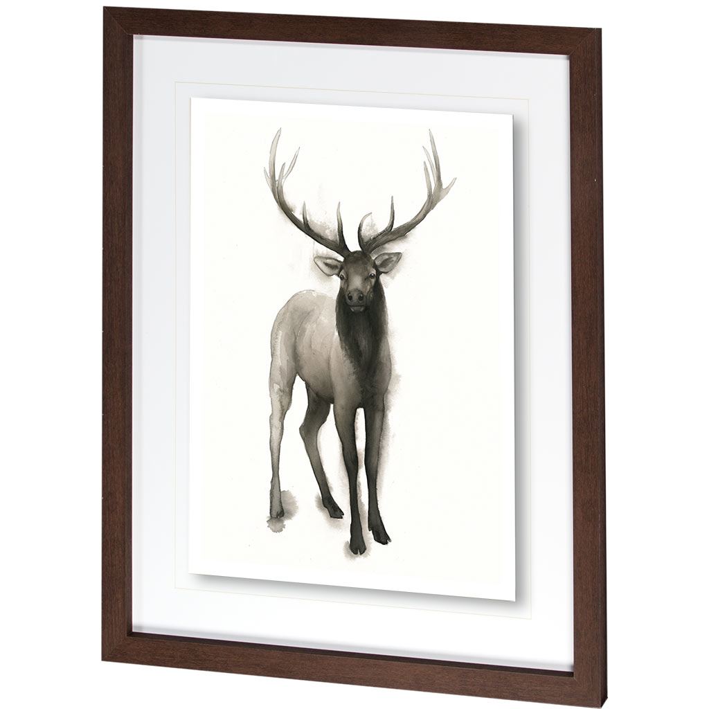 Majestic Wildlife II by Grace Popp a Framed Art Print Matted under Glass from Mercana - Luna Furniture