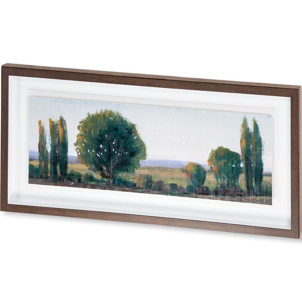 Panoramic Treeline I by Tim OToole a Framed Art Print Matted under Glass from Mercana - Luna Furniture