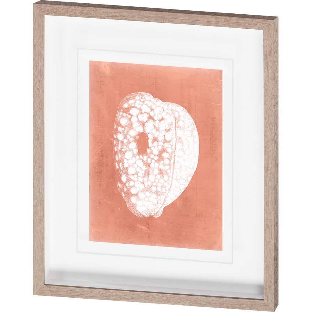 Sealife on Coral III by Vision Studio Hand Embellished Textured Framed Art Print Matted under Glass from Mercana - Luna Furniture