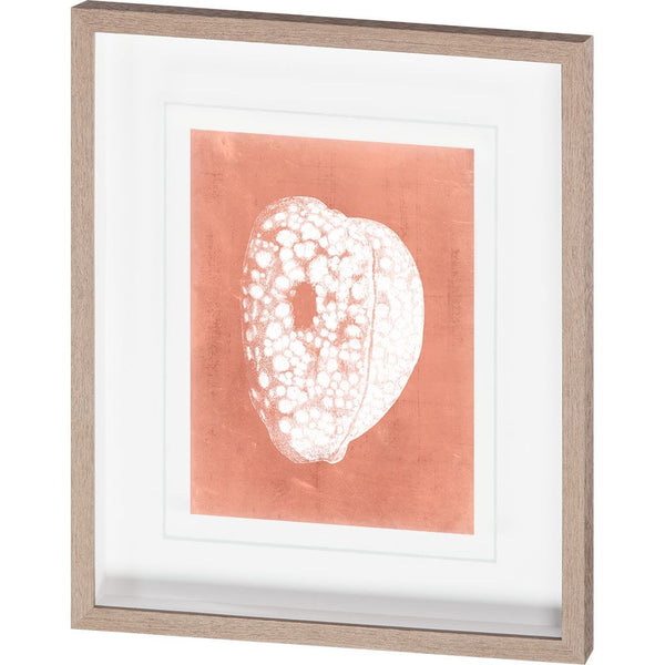 Sealife on Coral III by Vision Studio Hand Embellished Textured Framed Art Print Matted under Glass