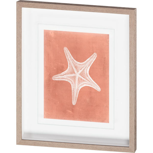 Sealife on Coral IV by Vision Studio a Hand Embellished Textured Framed Art Print Matted under Glass