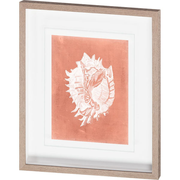 Sealife on Coral VI by Vision Studio a Hand Embellished Textured Framed Art Print Matted under Glass