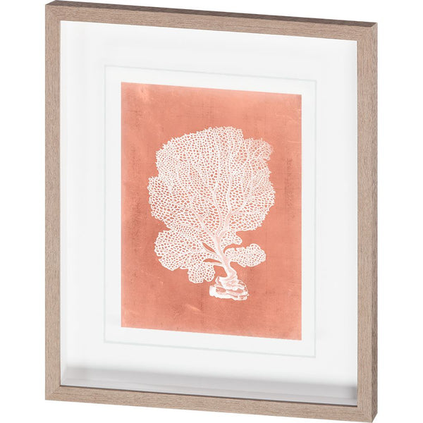 Sealife on Coral VIII by Vision Studio Hand Embellished Textured Framed Art Print Matted under Glass