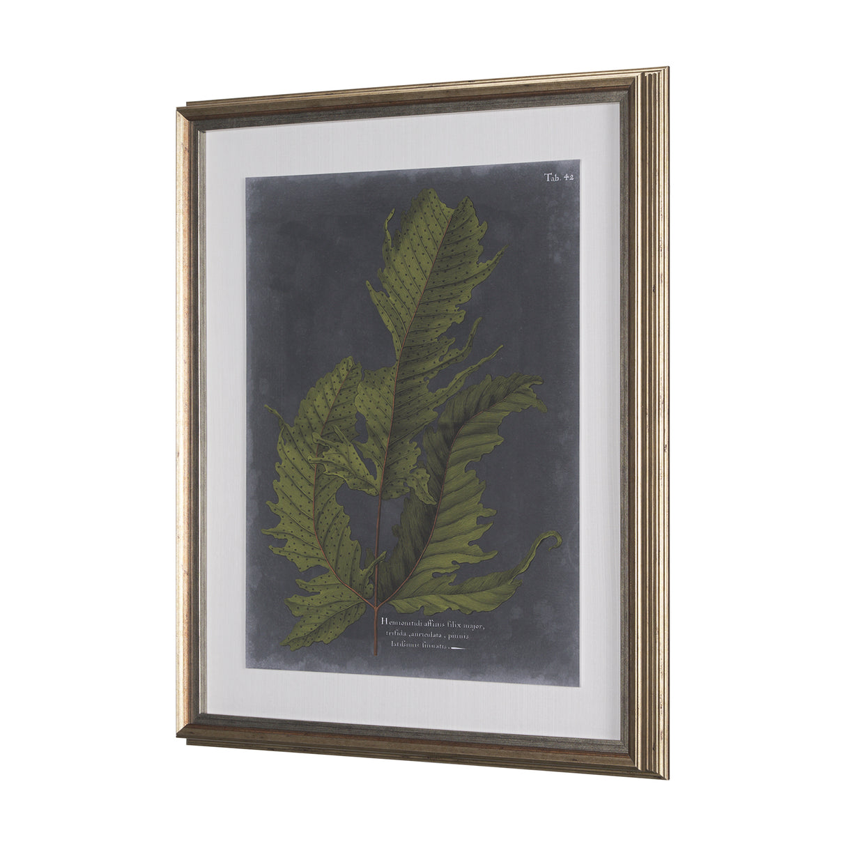 Foliage Dramatique I by Vision Studio Hand Embellished Textured Framed Art Print Matted under Glass from Mercana - Luna Furniture