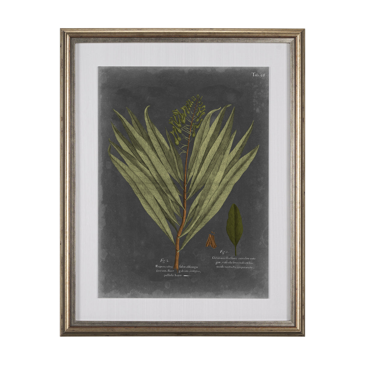 Foliage Dramatique II by Vision Studio Hand Embellished Textured Framed Art Print Matted under Glass from Mercana - Luna Furniture
