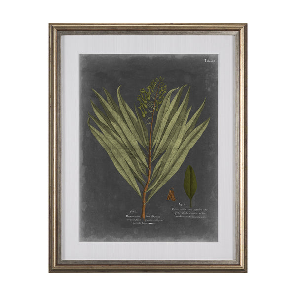 Foliage Dramatique II by Vision Studio Hand Embellished Textured Framed Art Print Matted under Glass