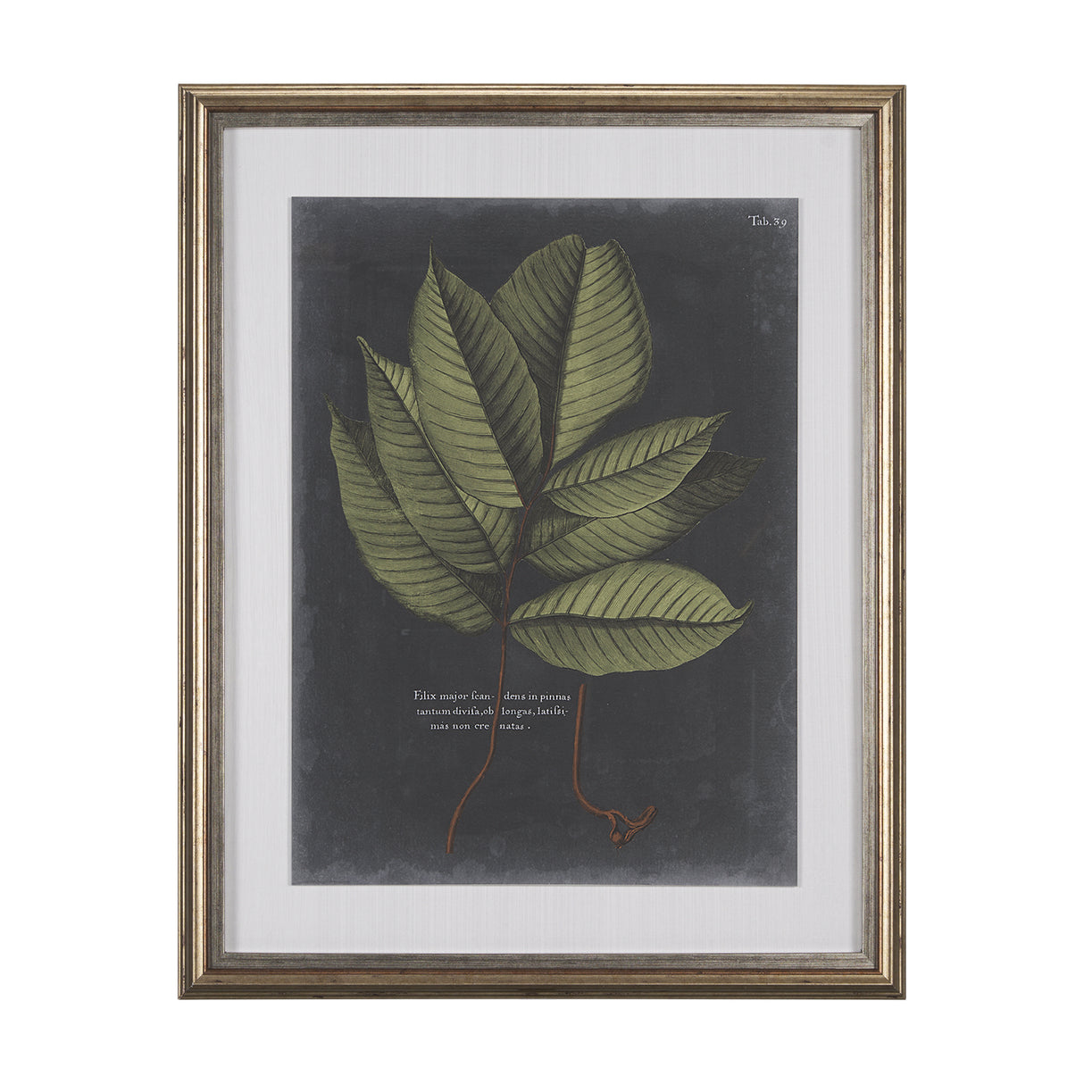 Foliage Dramatique III by Vision Studio Hand Embellished Textured Framed Art Print Matted under Glas from Mercana - Luna Furniture