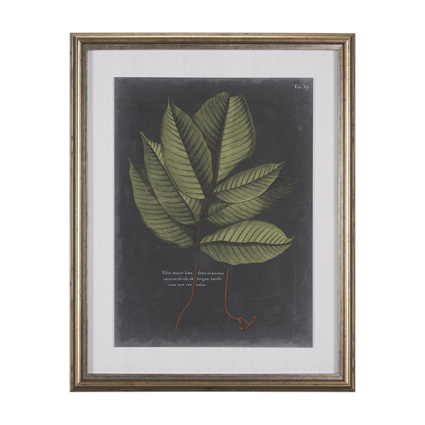 Foliage Dramatique III by Vision Studio Hand Embellished Textured Framed Art Print Matted under Glas