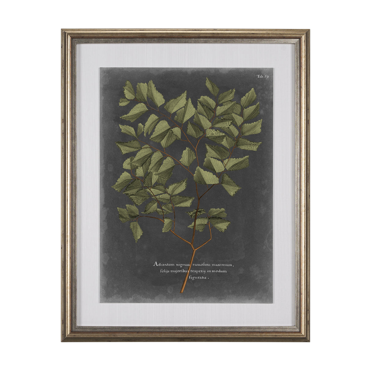 Foliage Dramatique V by Vision Studio Hand Embellished Textured Framed Art Print Matted under Glass from Mercana - Luna Furniture