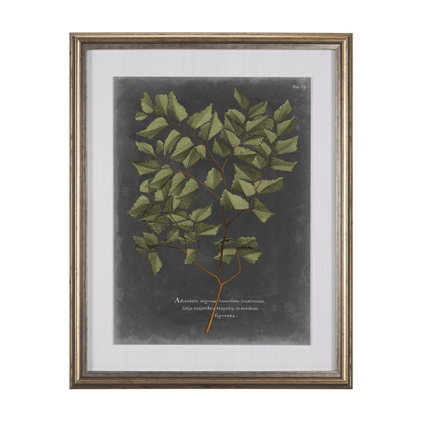 Foliage Dramatique V by Vision Studio Hand Embellished Textured Framed Art Print Matted under Glass