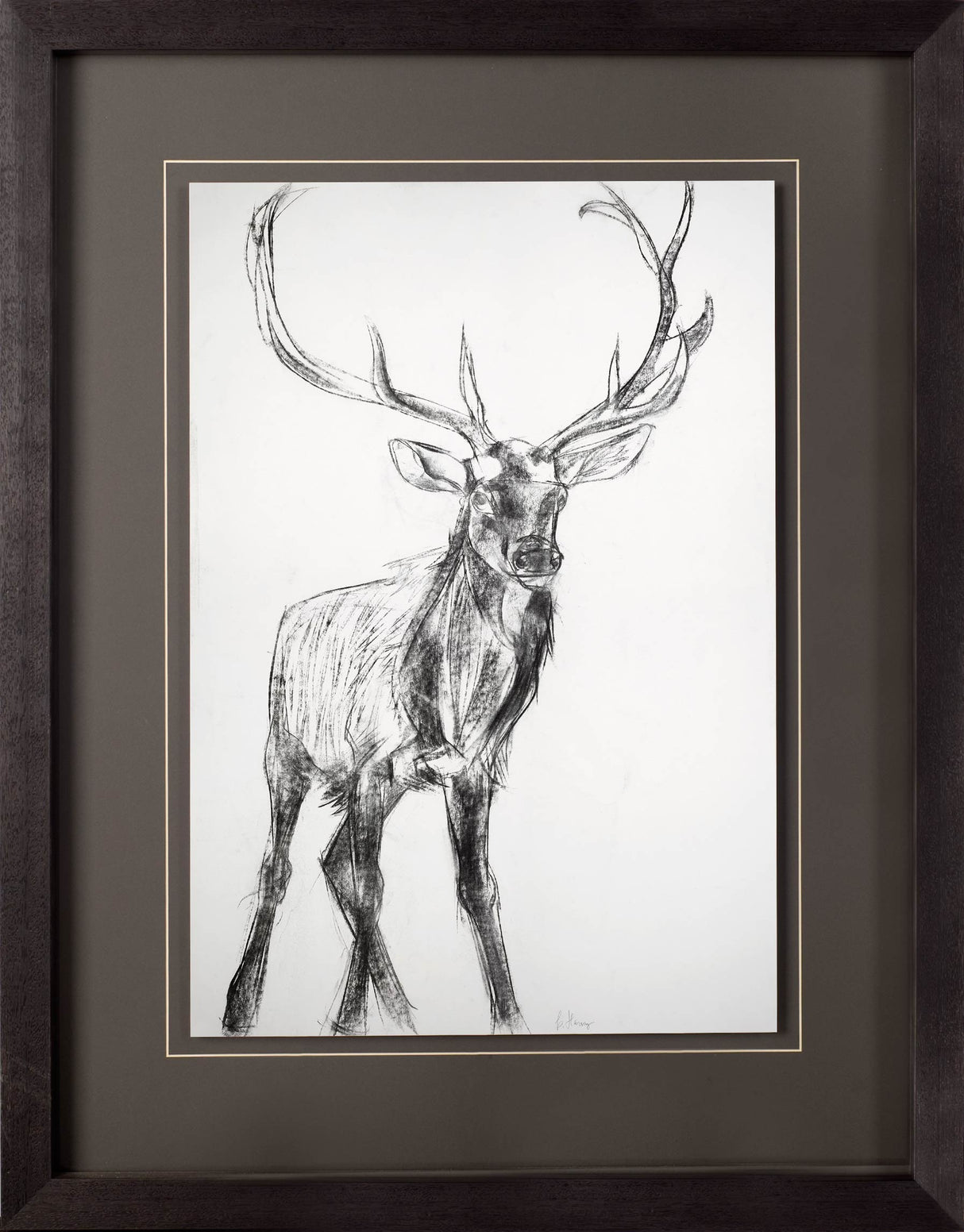 Young Elk by Harvey, Brenna a Framed Art Print Matted under Glass from Mercana - Luna Furniture