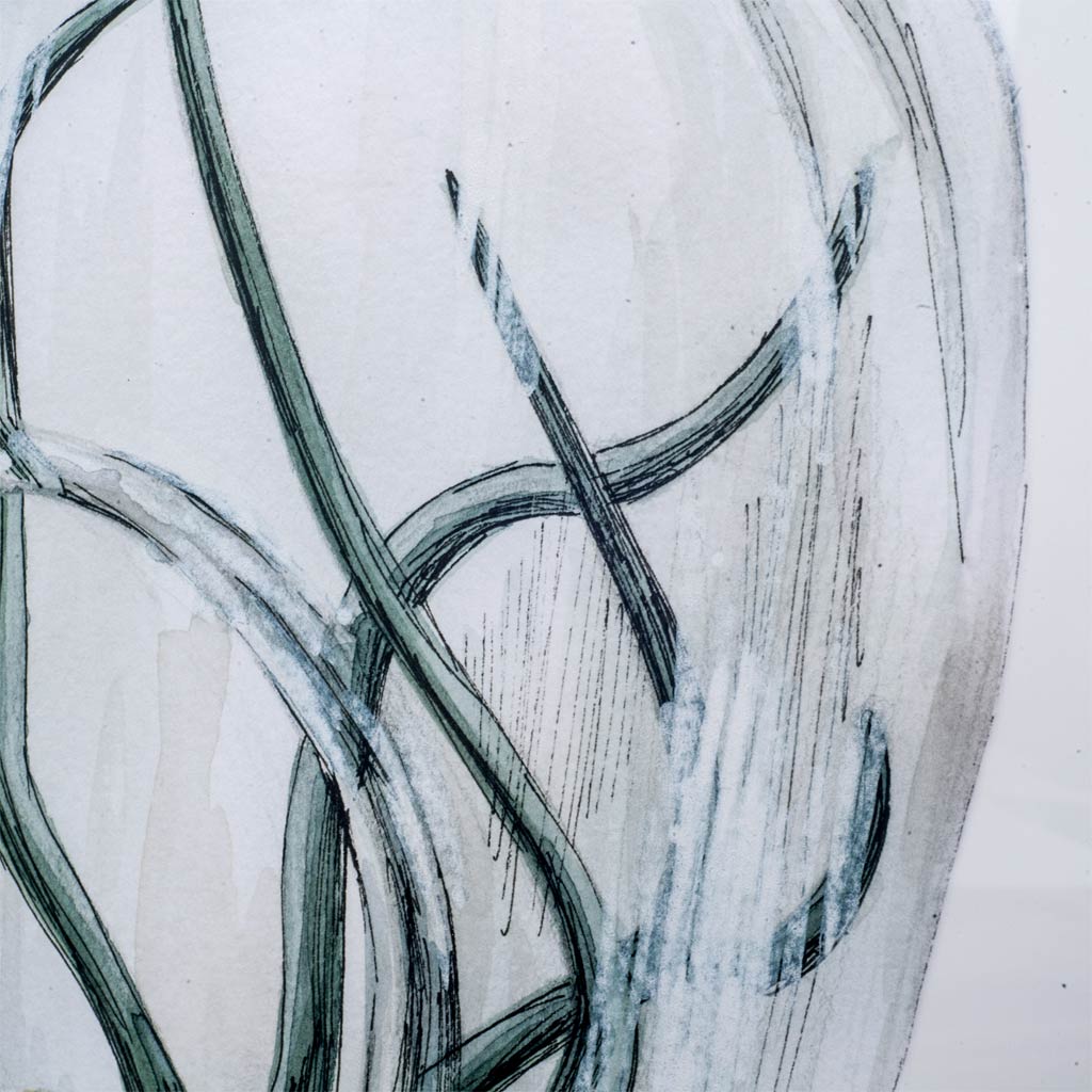 Air Plant 1 by Harvey, Brenna a Framed Art Print Matted under Glass from Mercana - Luna Furniture
