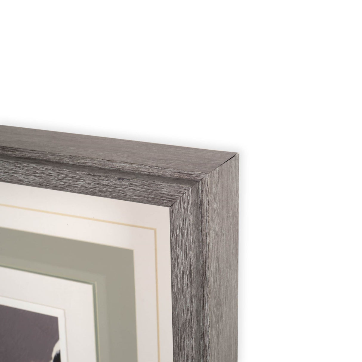 Anemone & Coral II by Jennifer Goldberger a Framed Art Print Matted under Glass from Mercana - Luna Furniture
