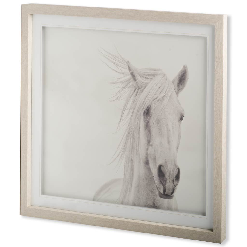 Custom Wind Blown Mane I (MC) by PHBurchett a Framed Photo Art Print Matted under Glass from Mercana - Luna Furniture