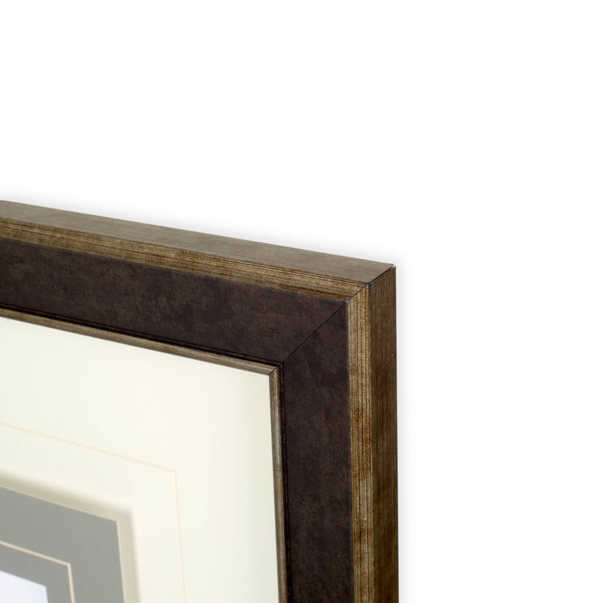 Blush Treeline II by Jennifer Goldberger a Framed Art Print Matted under Glass from Mercana - Luna Furniture
