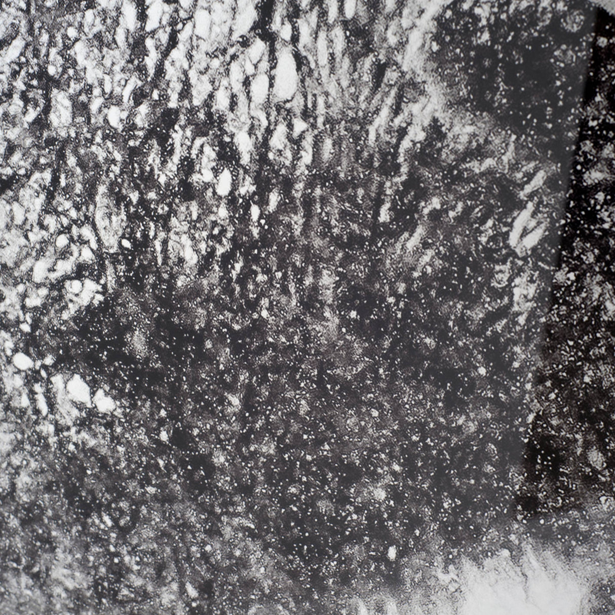 In The Storm by WINK GAINES a Hand Embellished Textured Framed Art Photograph Matted under Glass from Mercana - Luna Furniture
