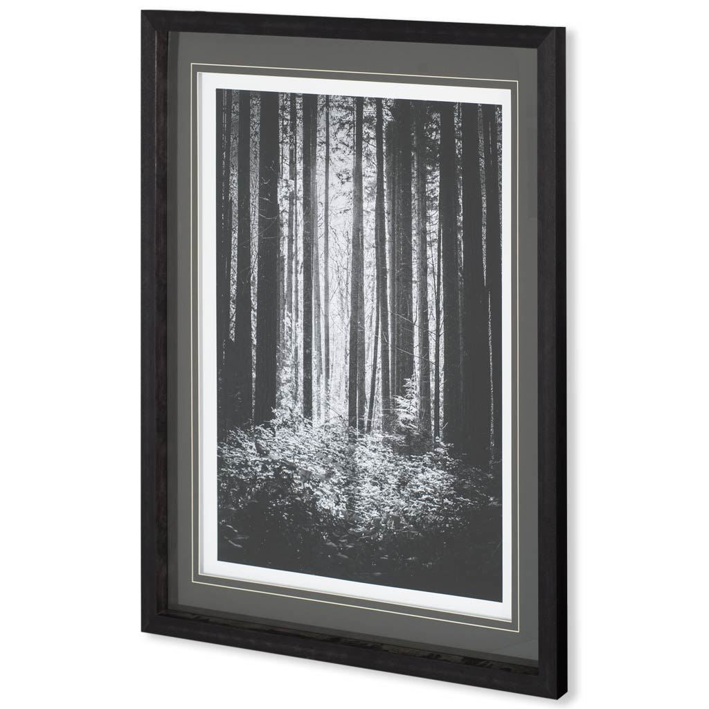 Lowland Winter Forest No 13, Tiger Mountain by Bisig, Steve a Framed Photo Art Print Matted under Gl from Mercana - Luna Furniture