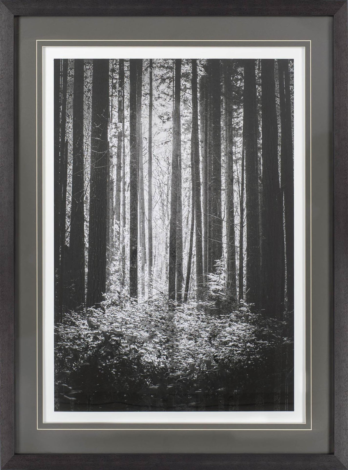Lowland Winter Forest No 13, Tiger Mountain by Bisig, Steve a Framed Photo Art Print Matted under Gl from Mercana - Luna Furniture