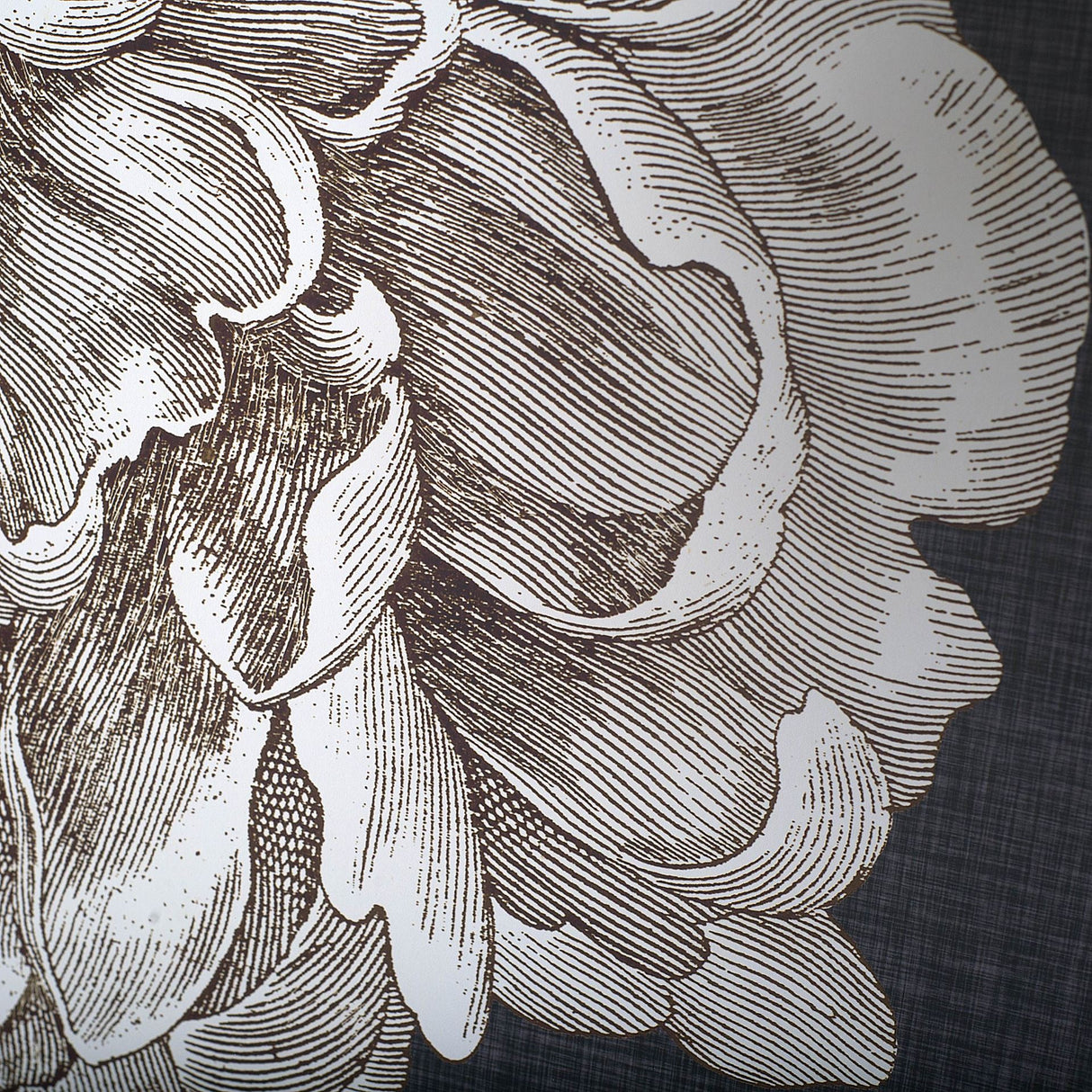 Dramatic Peony I by Vision Studio a Hand Embellished Textured Framed Art Print Matted under Glass from Mercana - Luna Furniture