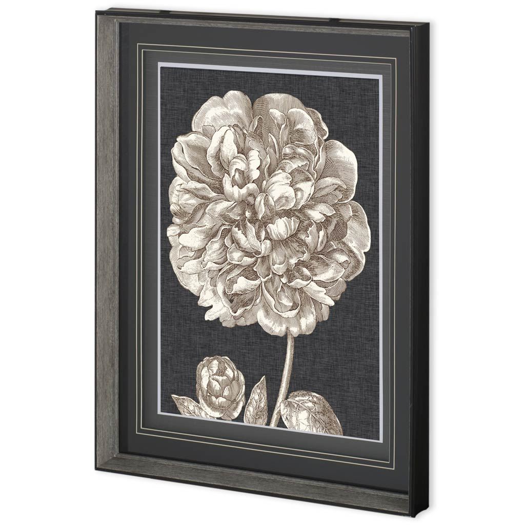 Dramatic Peony II by Vision Studio a Hand Embellished Textured Framed Art Print Matted under Glass from Mercana - Luna Furniture