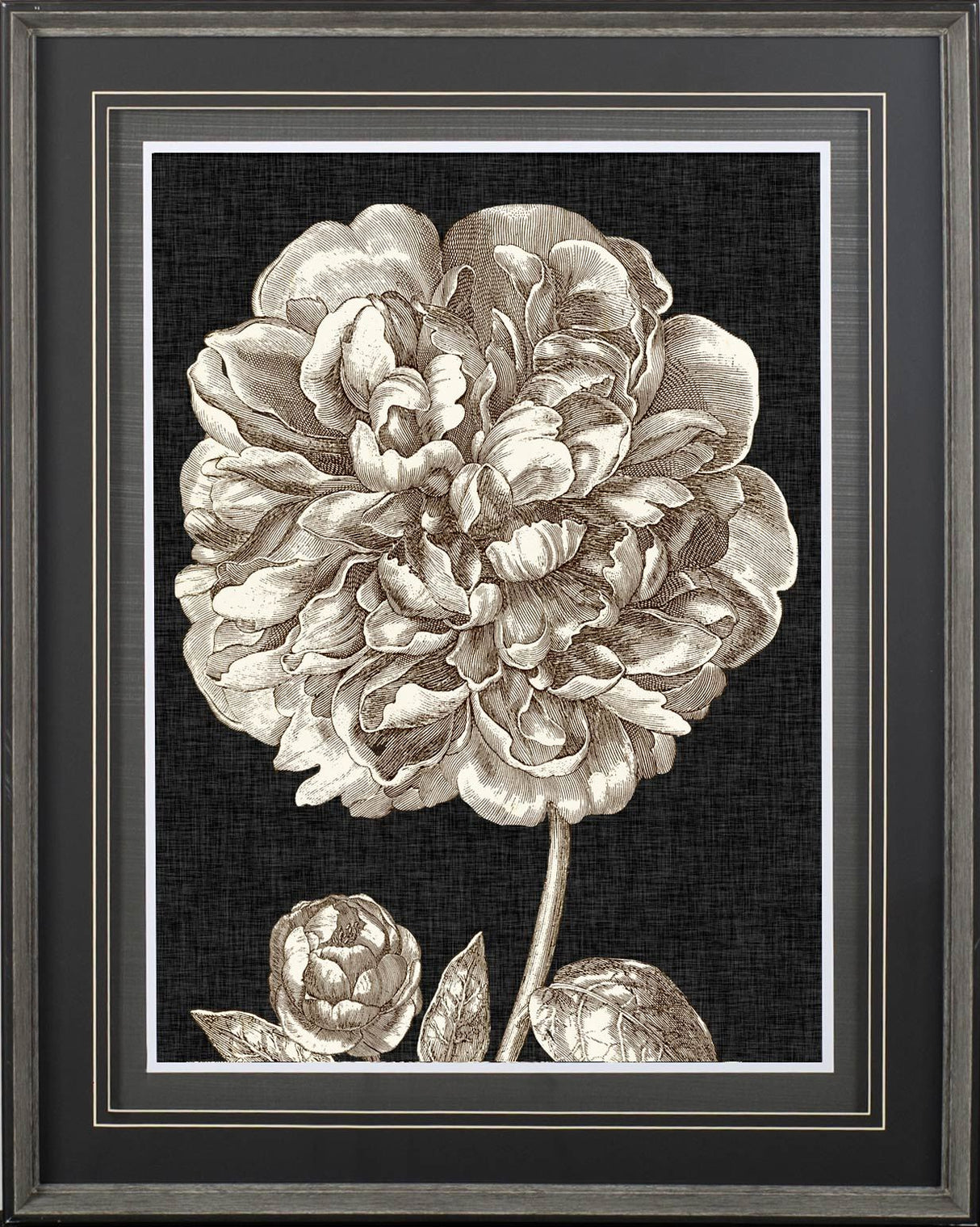 Dramatic Peony II by Vision Studio a Hand Embellished Textured Framed Art Print Matted under Glass from Mercana - Luna Furniture
