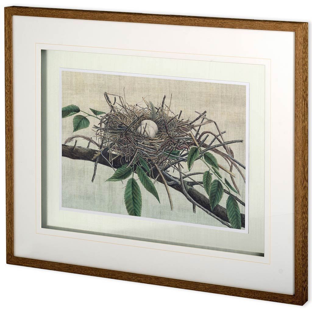 Custom Nesting III (MC) by John Butler Hand Embellished Textured Framed Art Print Matted under Glass from Mercana - Luna Furniture