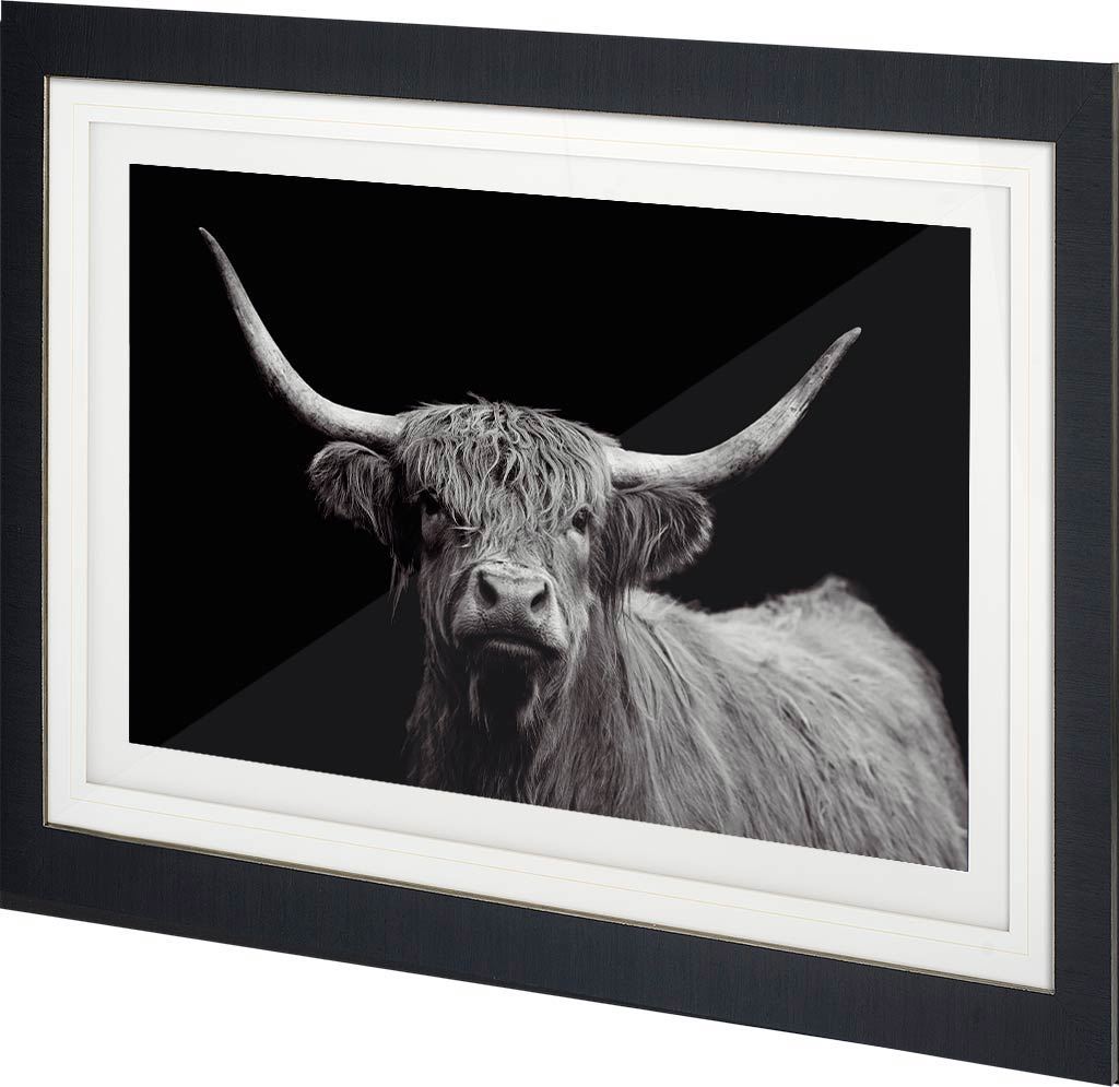 Highland Spirit - Framed Art Photograph Matted under Glass from Mercana - Luna Furniture