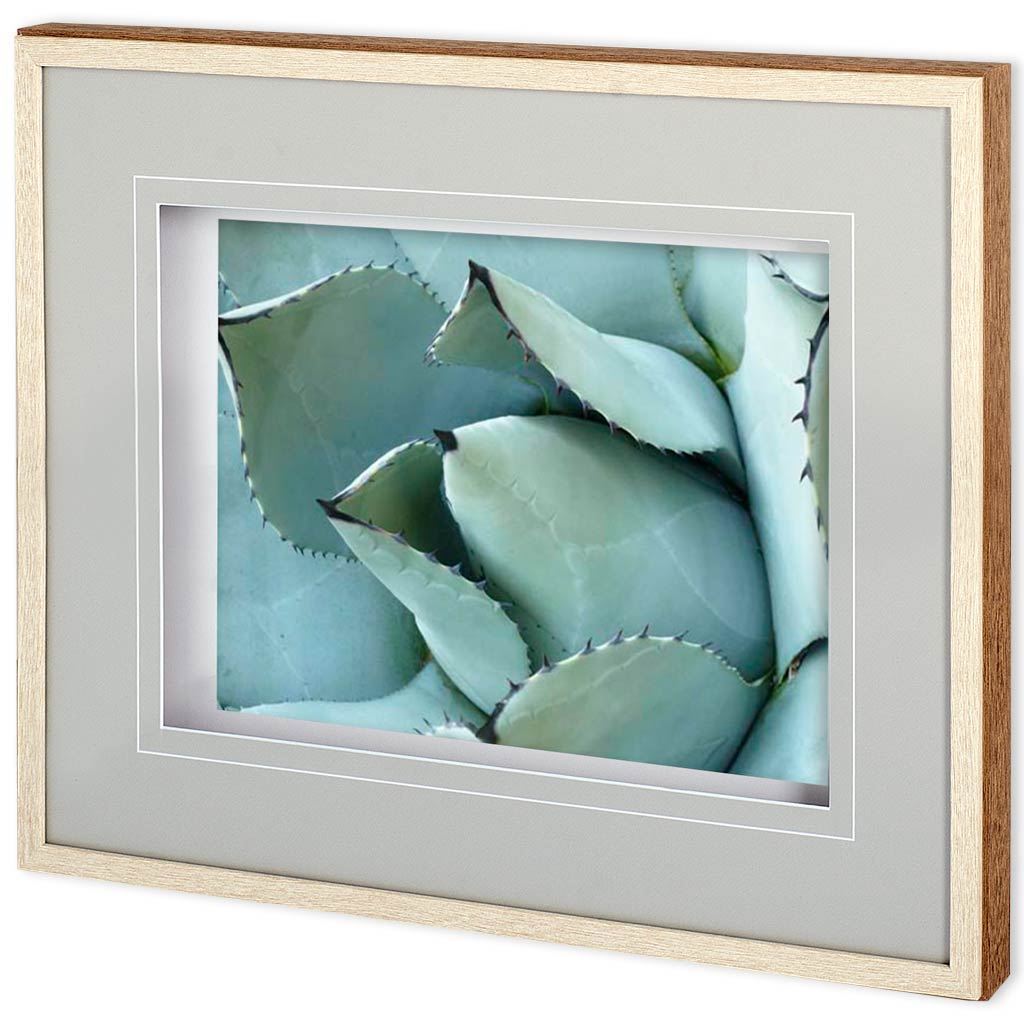 Agave Detail I by Alison Jerry a Framed Photo Art Print Matted under Glass from Mercana - Luna Furniture