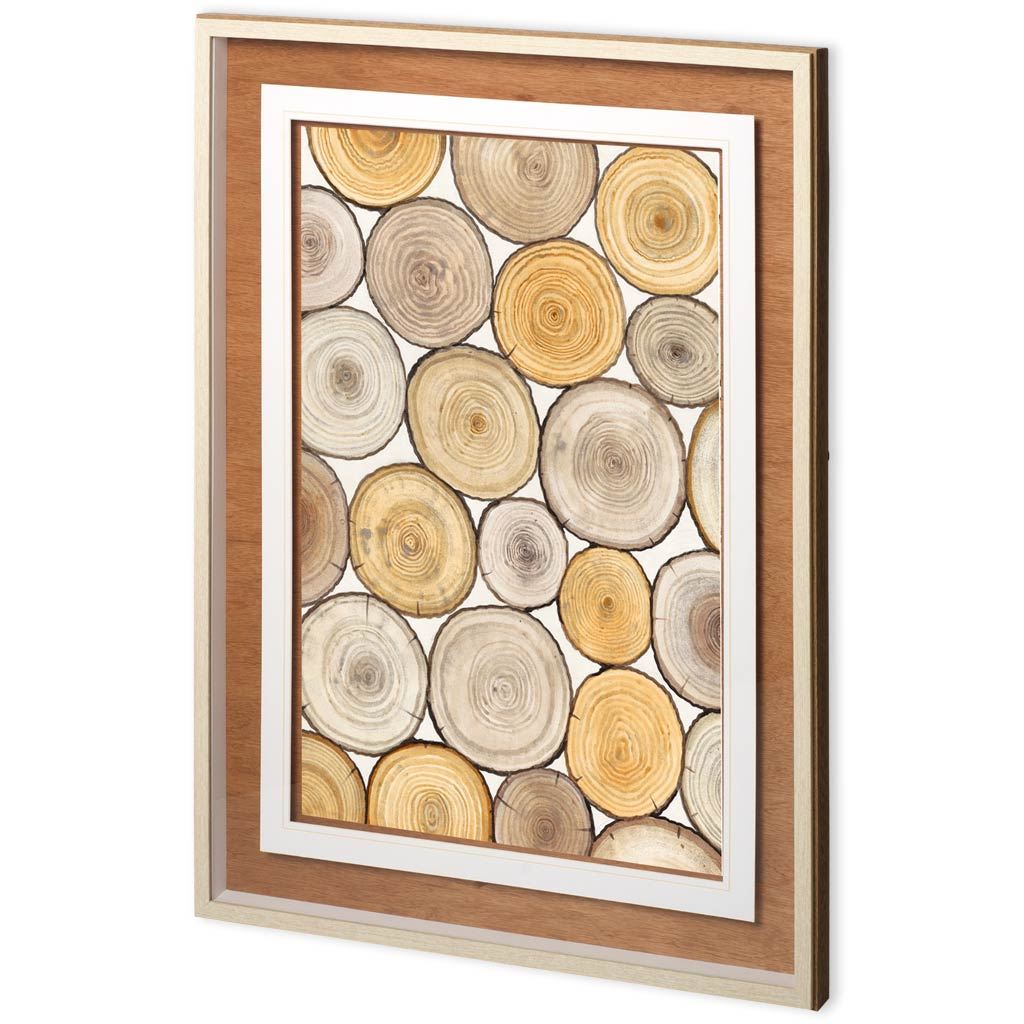 Tree Ring Study II by Mercana Studio a Framed Art Print Matted under Glass from Mercana - Luna Furniture