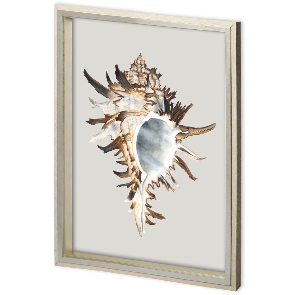 Custom Black Murex by Maleki, Ferdos a Framed Art Print Matted under Glass from Mercana - Luna Furniture