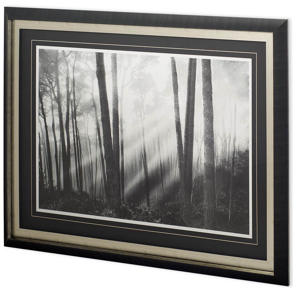 Mystical Forest & Sunbeams by Monte a Framed Photo Art Print Matted under Glass from Mercana - Luna Furniture