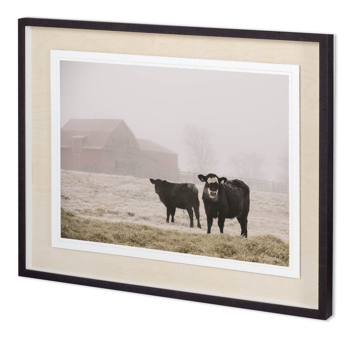 Custom Farm Study III by Adam Mead a Framed Photo Art Print Matted under Glass from Mercana - Luna Furniture