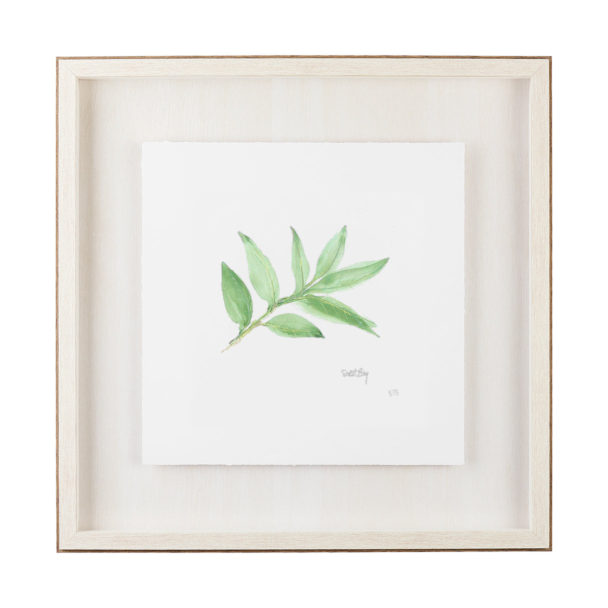 Sweet Bay v2 by Chris Paschke a Framed Art Print Matted under Glass from Mercana - Luna Furniture