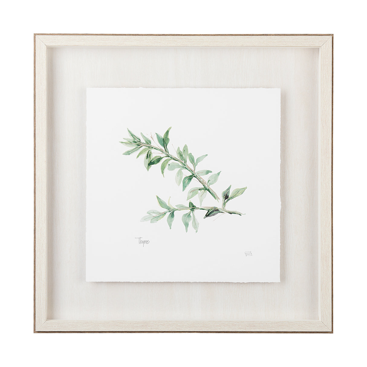 Thyme v2 by Chris Paschke a Framed Art Print Matted under Glass from Mercana - Luna Furniture