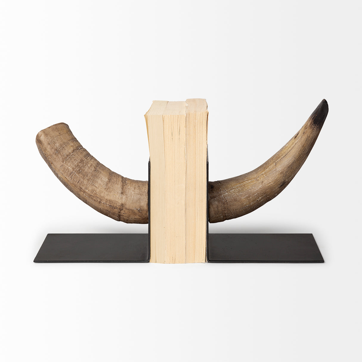 Nickerson (Set of 2) 6L x 7W Bull Horn Bookends from Mercana - Luna Furniture