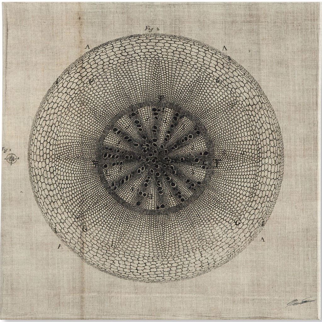 Cross Cut IV (MC) by Mercana Studio a Hand Embellished Textured Canvas from Mercana - Luna Furniture