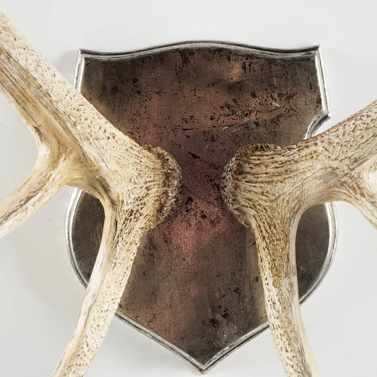 Sika I Natural Finish set of Replica Deer Antlers from Mercana - Luna Furniture