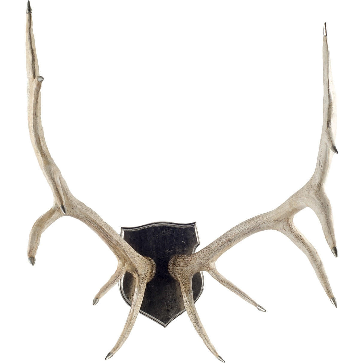 Sika I Natural Finish set of Replica Deer Antlers from Mercana - Luna Furniture