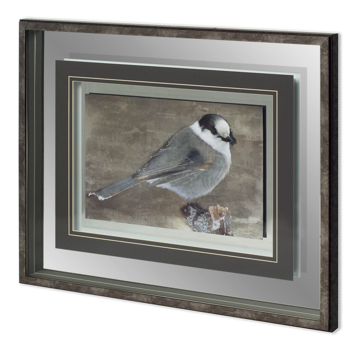 Woodland Animal Bird by Stephan Fontaine Hand Embellished Framed Art Print Matted under Glass from Mercana - Luna Furniture