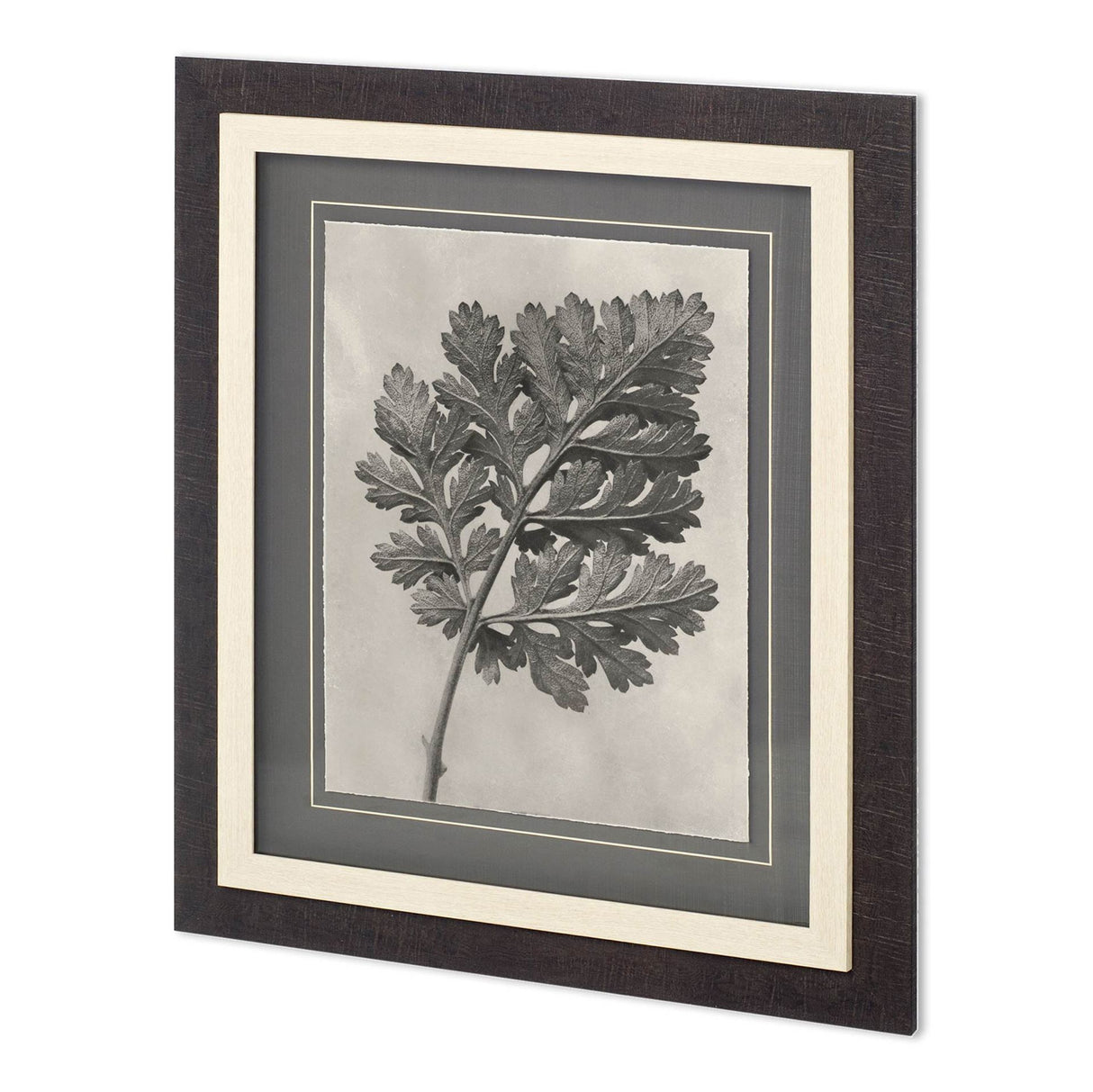 Custom Blossfeldt Botanical III Karl Blossfeldt Hand Embellished Framed Art Print Matted under Glass from Mercana - Luna Furniture