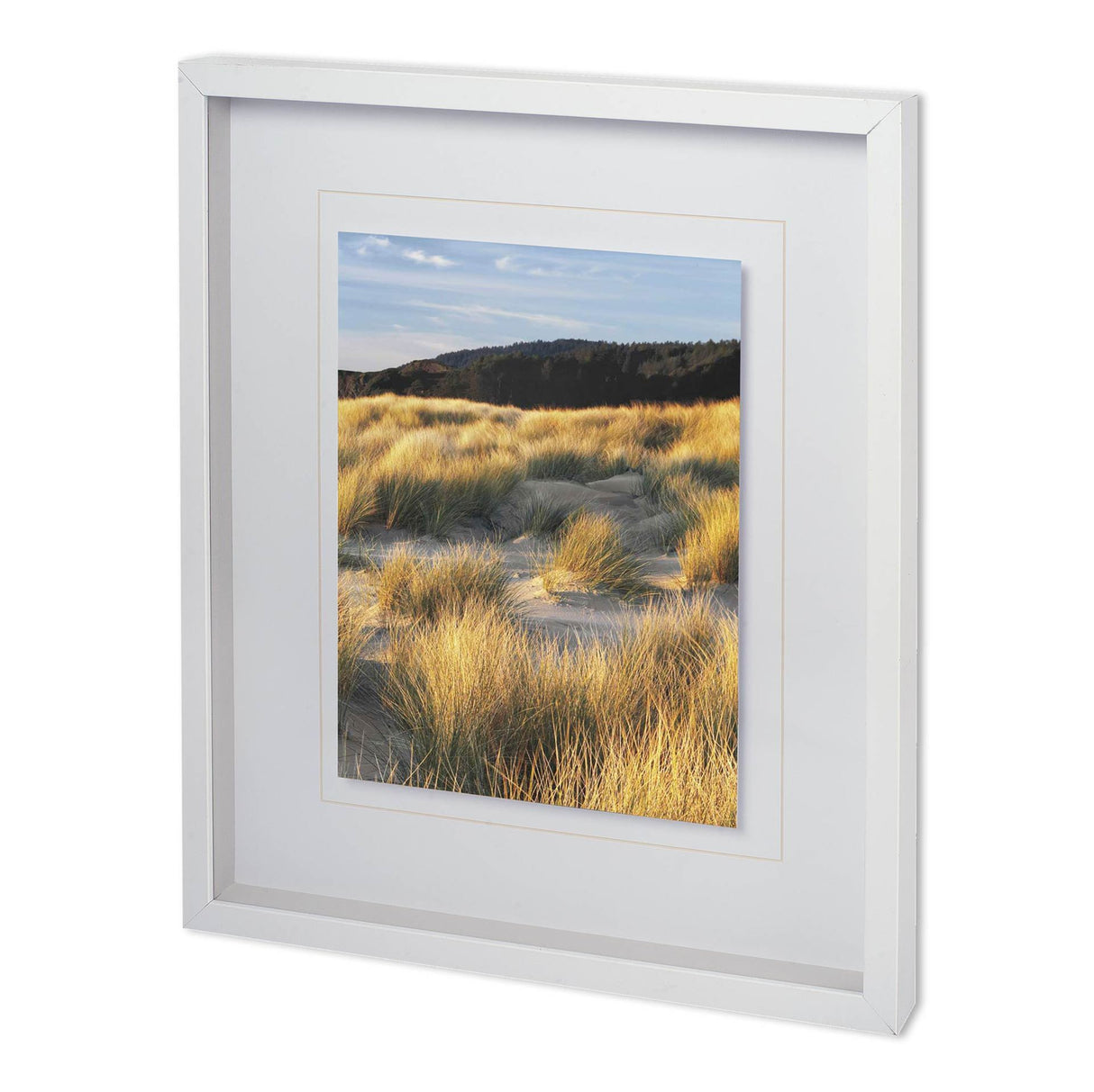 DUNE GRASS & BEACH III by DENNIS FRATES a Framed Photo Art Print Matted under Glass from Mercana - Luna Furniture