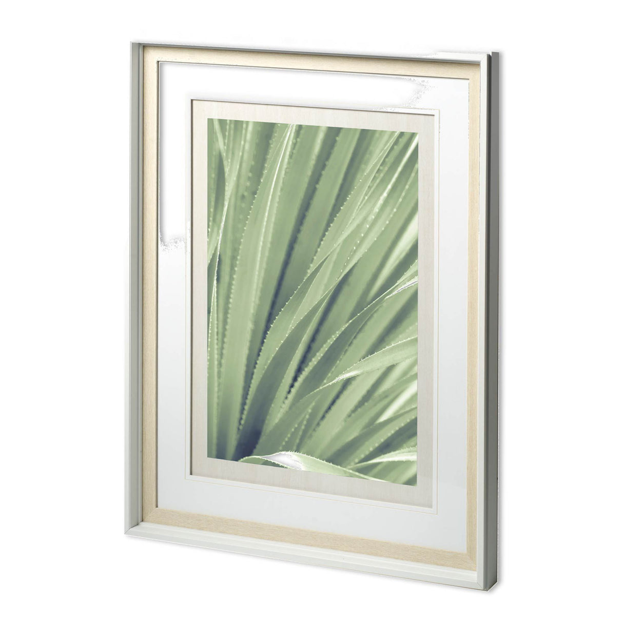 Sierra Madre - Framed Art Photograph Matted under Glass from Mercana - Luna Furniture