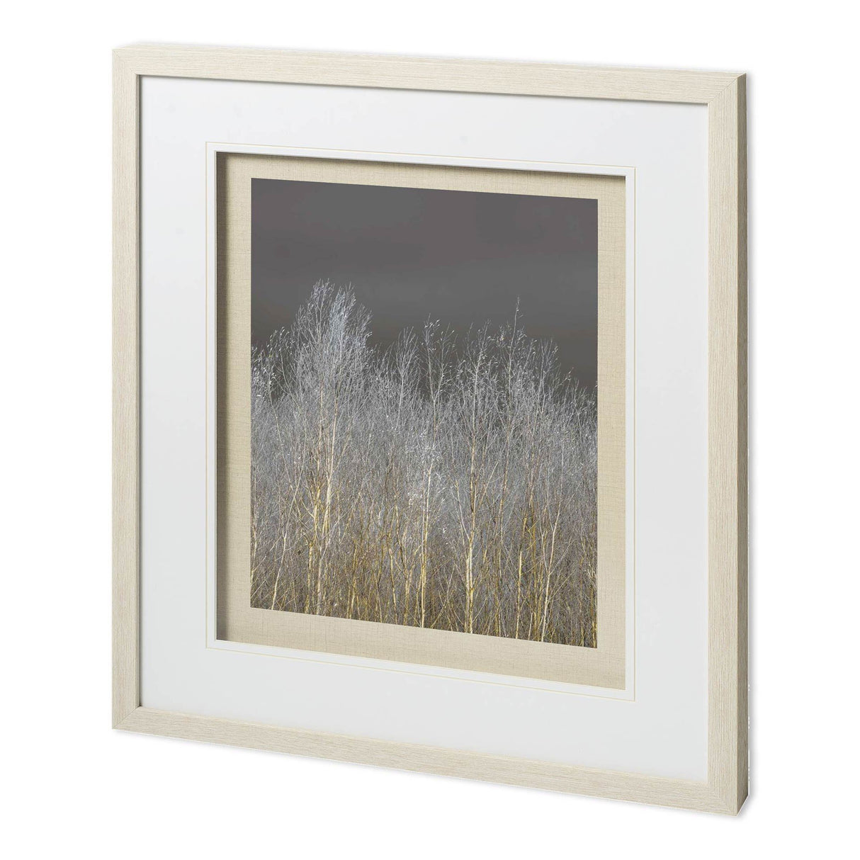 Silver Forest II by Frank, Assaf a Framed Photo Art Print Matted under Glass from Mercana - Luna Furniture