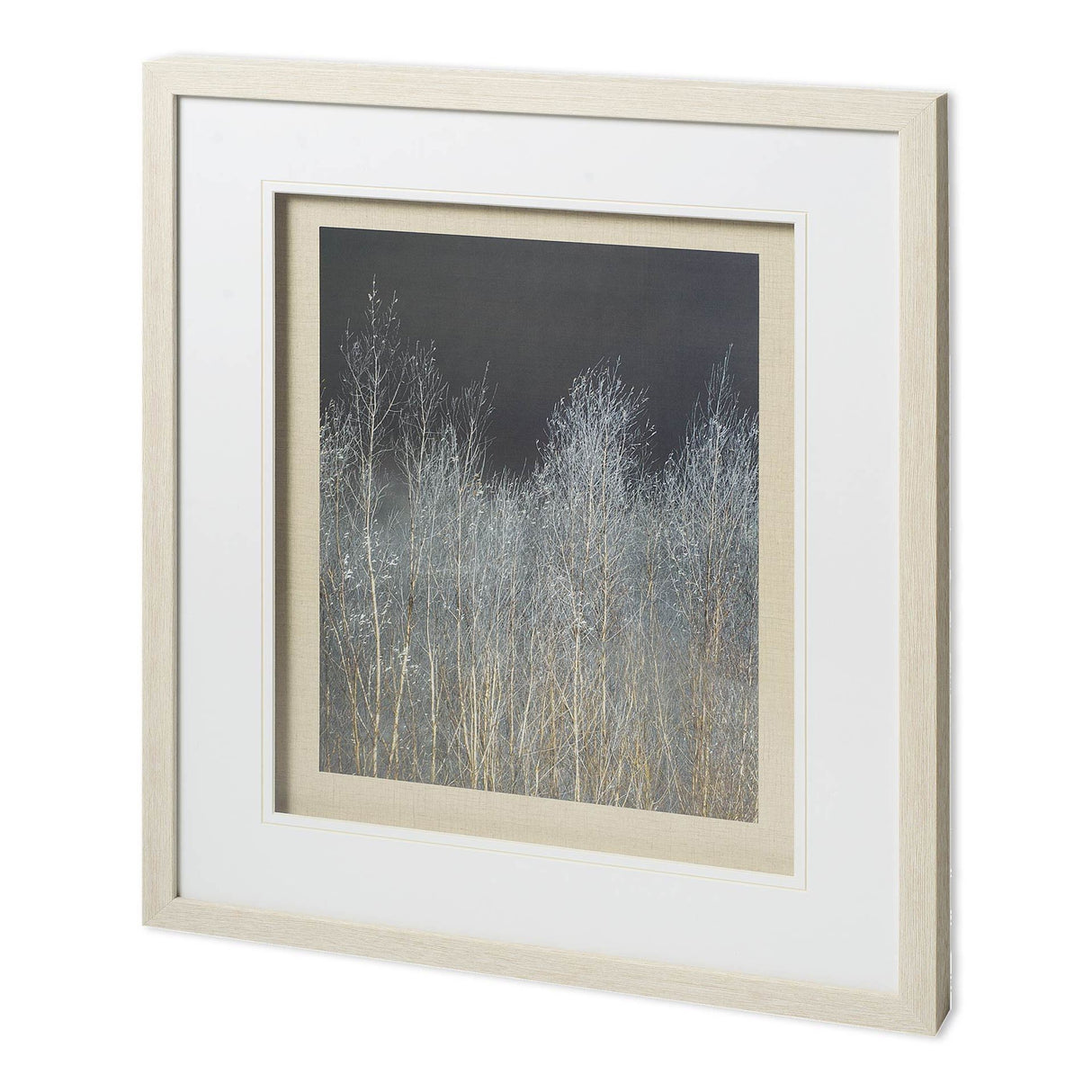 Silver Forest I by Frank, Assaf a Framed Photo Art Print Matted under Glass from Mercana - Luna Furniture